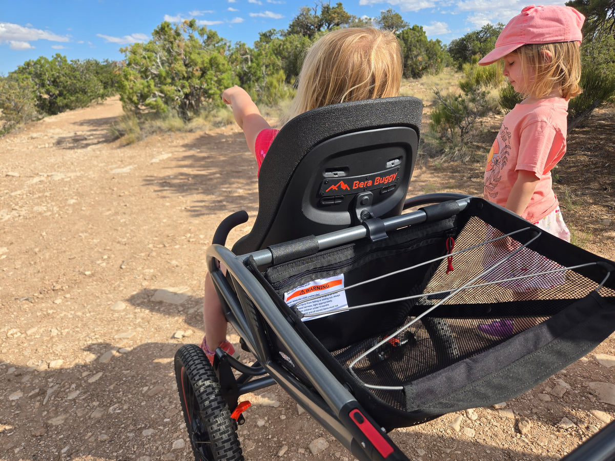 bera buggy with kids