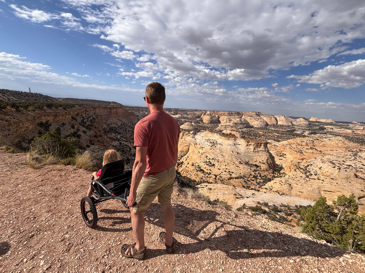 A father and child at a canyon overlook with the Bera Buggy