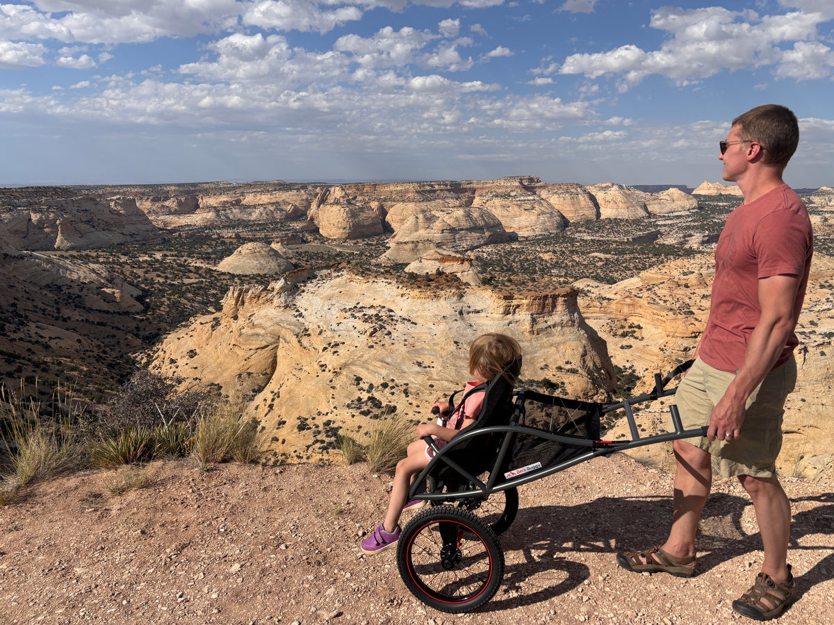 A father and daughter at a canyon overlook with the Bera Buggy