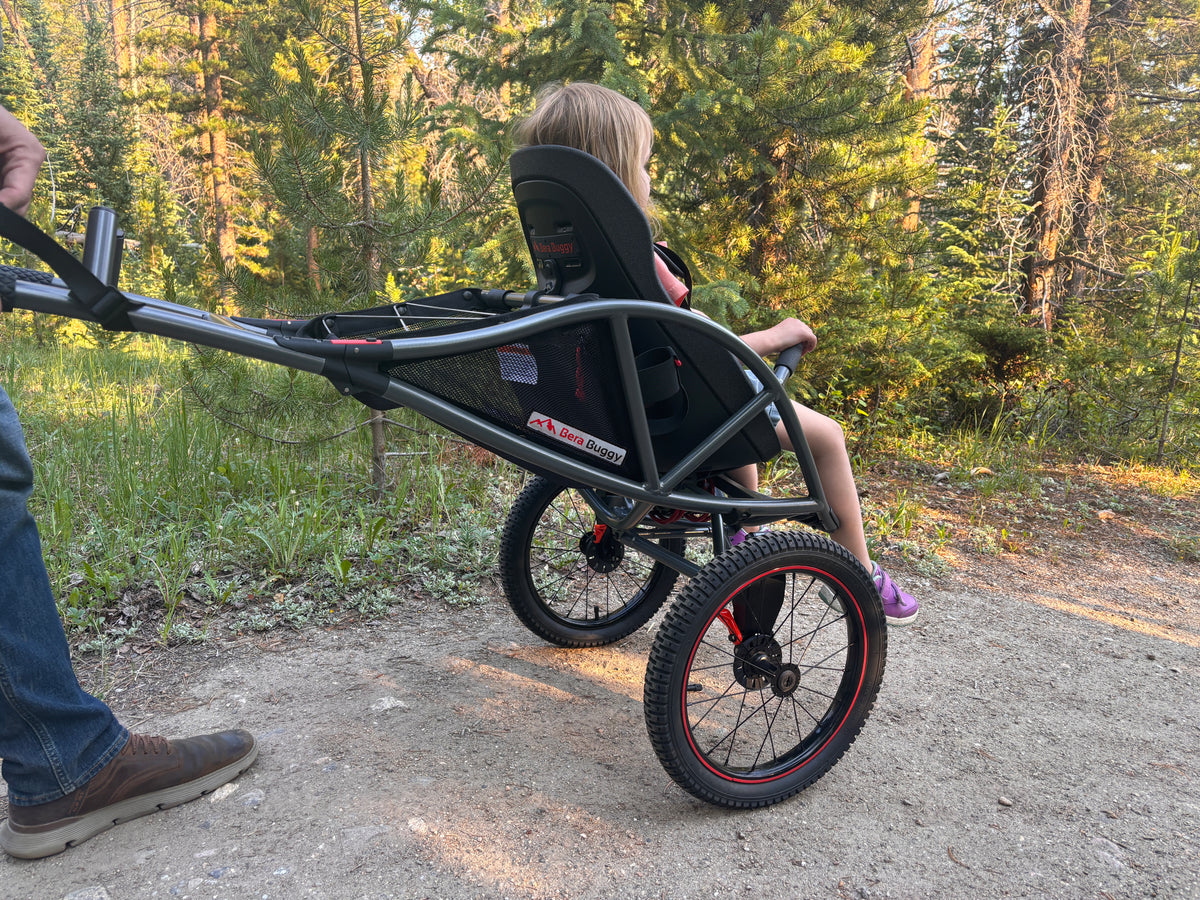 The Bera Buggy on a pine-forest trail