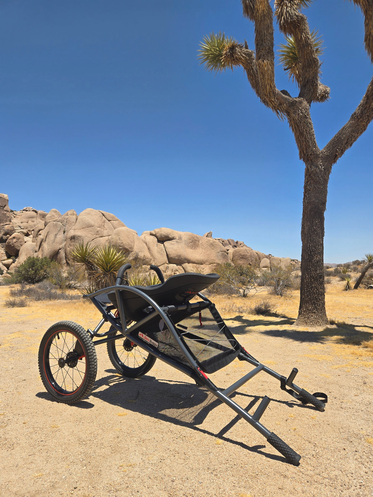 The Bera Buggy X100 in the desert