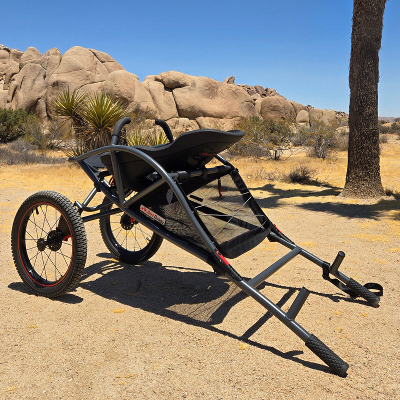 Bera Buggy X100