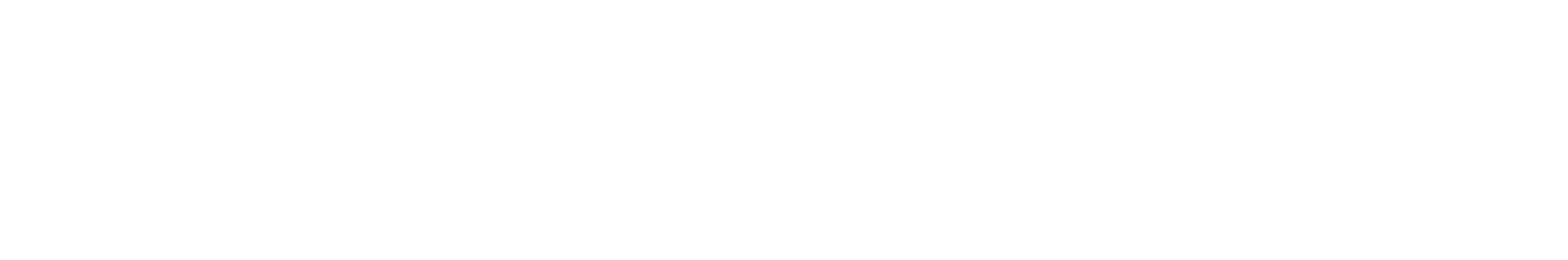 Bera Buggy